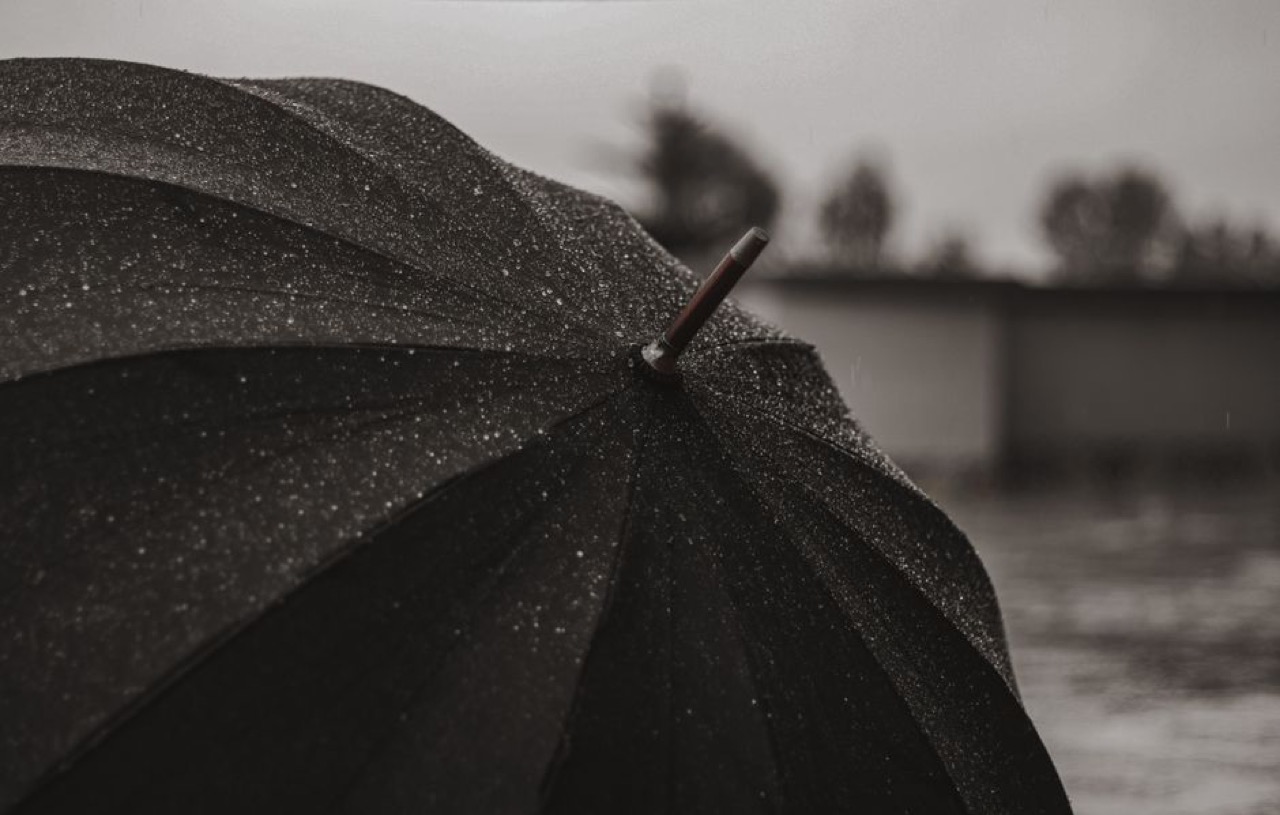 Umbrella protection rain