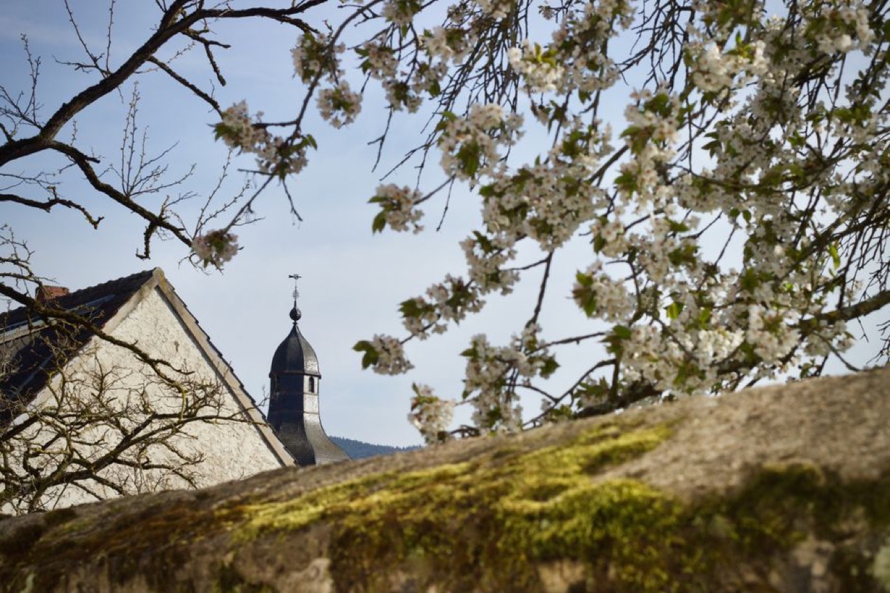 White flowers church